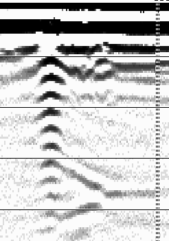 Imagen del Georadar con el tesoro encontrado